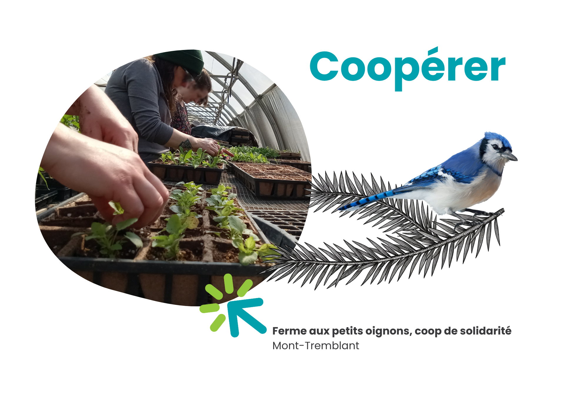Devenir membre-header2